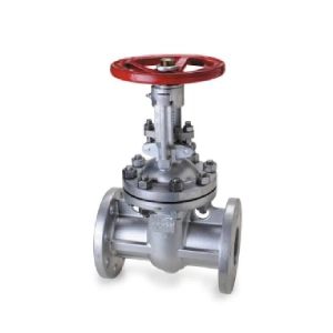Gate and globe valves